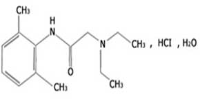 Lidocaine Hcl