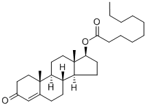 TESTOSTERONE DECANOATE