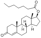 TESTOSTERONE ENANTHATE